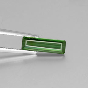 1.60캐럿 천연 그린 투르말린, 에메랄드 컷, 13.7×4.4 mm, VVS
