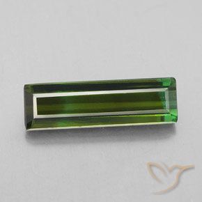 2.92ct 자연스러운 포레스트 그린 전기석, 에메랄드 컷, VS-SI