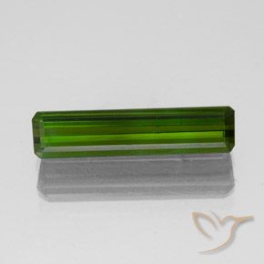 1.47ct 자연스러운 포레스트 그린 전기석, 에메랄드 컷, VVS-VS