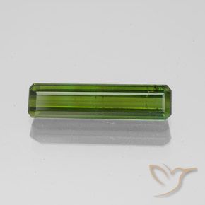 1.45ct 자연스러운 포레스트 그린 전기석, 에메랄드 컷, SI
