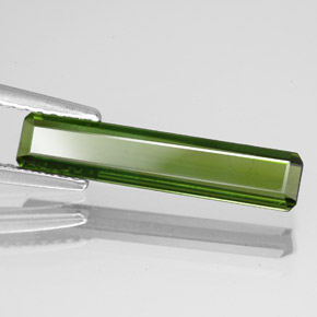 1.51캐럿 천연 미디엄 그린 투르말린, 에메랄드 컷, 18.1×3.8 mm, VS