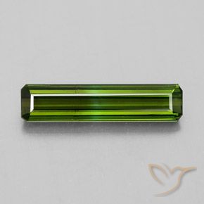 1.20ct 자연스러운 짙은 녹색 전기석, 에메랄드 컷, VS-SI