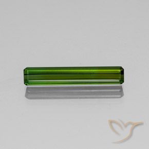 2.82ct 자연스러운 포레스트 그린 전기석, 에메랄드 컷, SI