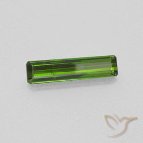 1.40캐럿 천연 포레스트 그린 전기석, 옥타곤 / 에메랄드 컷, SI