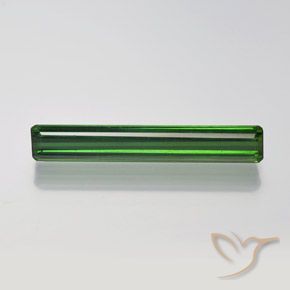 1.54ct 자연스러운 포레스트 그린 전기석, 에메랄드 컷, VVS-VS