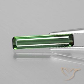 1.50ct 자연스러운 쿨 포레스트 그린 전기석, 에메랄드 컷, VS