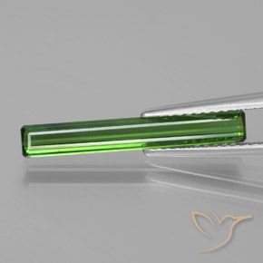 1.53ct 자연스러운 포레스트 그린 전기석, 에메랄드 컷, VS