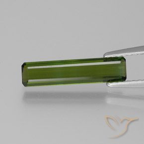 1.24ct 자연스러운 짙은 녹색 전기석, 에메랄드 컷, VVS