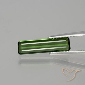 1.15ct 자연스러운 포레스트 그린 전기석, 에메랄드 컷, VS
