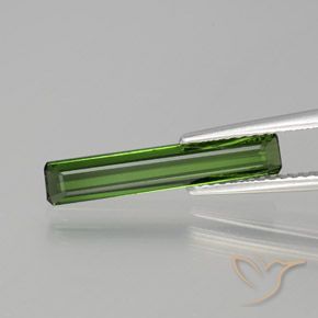 1.35ct 자연스러운 포레스트 그린 전기석, 에메랄드 컷, VVS-VS