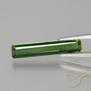 1.45ct 자연스러운 짙은 녹색 전기석, 에메랄드 컷, VVS-VS