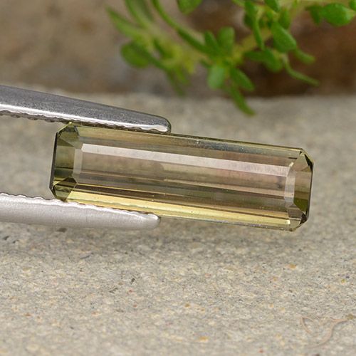 1.72캐럿 천연 바이컬러 투르말린, 에메랄드 컷, VS