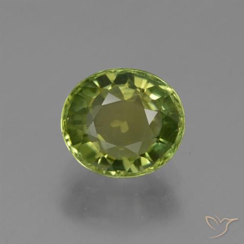 1.23ct 자연스러운 포레스트 그린 전기석, 타원형, VS