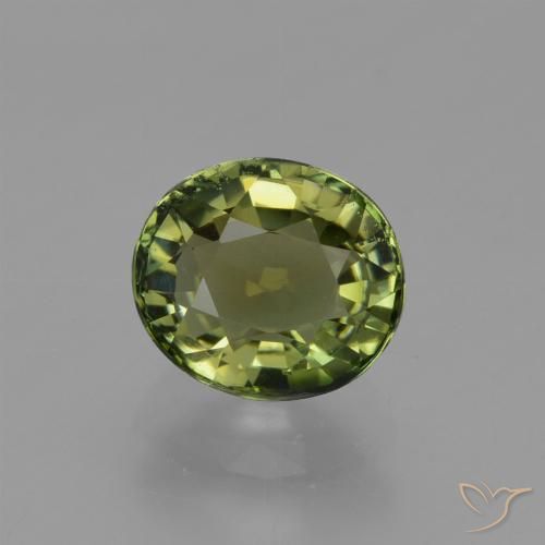 1.17ct 자연스러운 따뜻한 녹색 전기석, 타원형, VVS