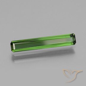 1.40캐럿 천연 흙빛 녹색 전기석, 옥타곤 / 에메랄드 컷, VVS