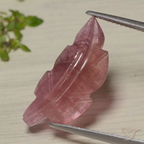 7.02ct 자연스러운 바이컬러 전기석, 팬시한, 투명한