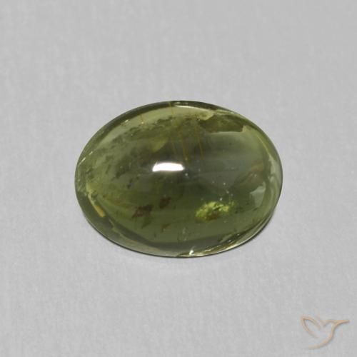 1.13ct 자연스러운 포레스트 그린 전기석, 타원형, 투명한