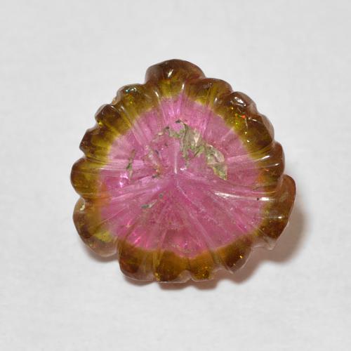 5.37ct 자연스러운 수박 전기석, 플라워 컷, 투명한