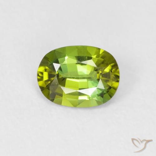 0.45ct 자연스러운 미디엄 그린 전기석, 타원형, VVS