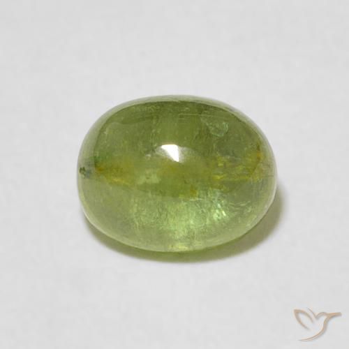 1.33ct 자연스러운 미디엄 그린 전기석, 타원형, 투명한