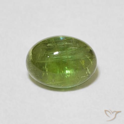 0.82ct 자연스러운 미디엄 그린 전기석, 타원형, 투명한