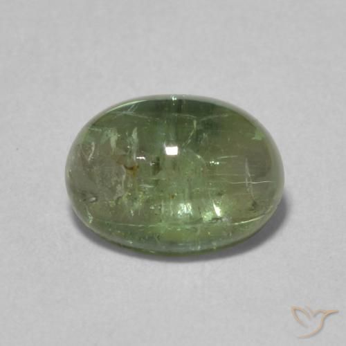 1.52ct 자연스러운 미디엄 그린 전기석, 타원형, 투명한