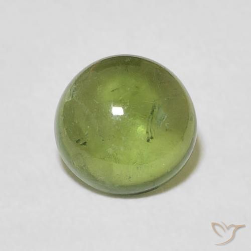 1.57ct 자연스러운 라이트 포레스트 그린 전기석, 둥근, 투명한