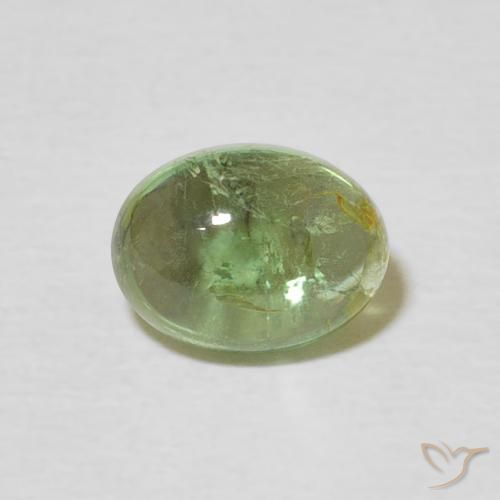1.51ct 자연스러운 미디엄 그린 전기석, 타원형, 투명한