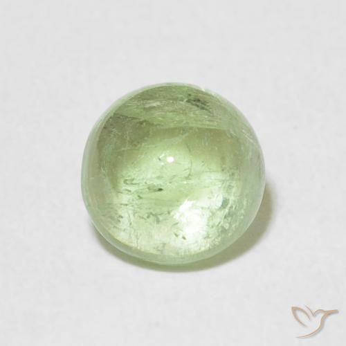 1.29ct 자연스러운 매우 밝은 세이지 그린 전기석, 둥근, 투명한