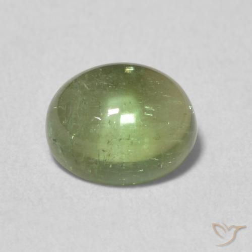 1.41ct 자연스러운 어스 그린 전기석, 타원형, 투명한
