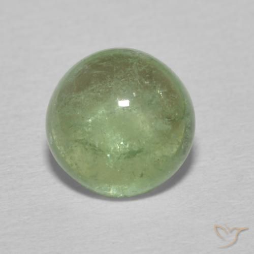 1.49ct 자연스러운 창백한 지구 녹색 전기석, 둥근, 투명한
