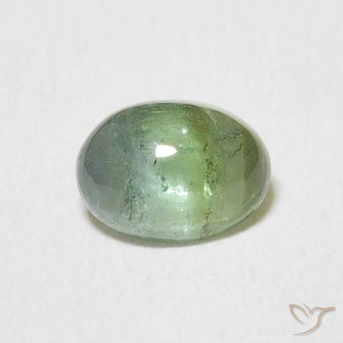 0.69ct 자연스러운 Medium Light Green 전기석, 타원형, 투명한