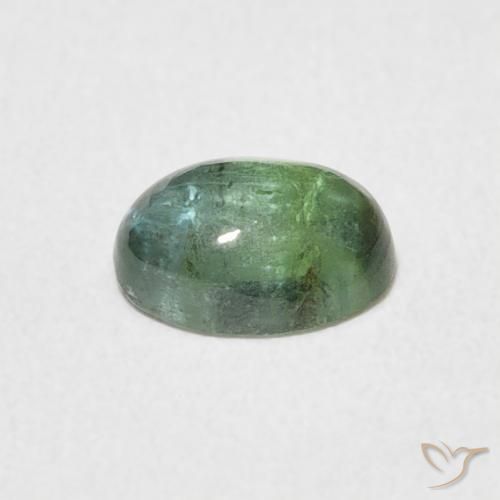 0.69캐럿 천연 Medium Light Green 전기석, 타원형, 투명한