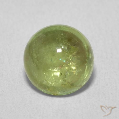1.61ct 자연스러운 올리브 그린 전기석, 둥근, 투명한