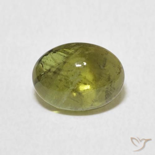 1.37ct 자연스러운 미디엄 그린 전기석, 타원형, 투명한
