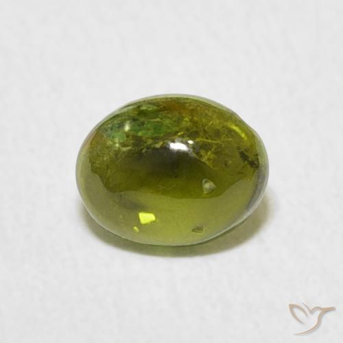 0.73ct 자연스러운 미디엄 그린 전기석, 타원형, 투명한