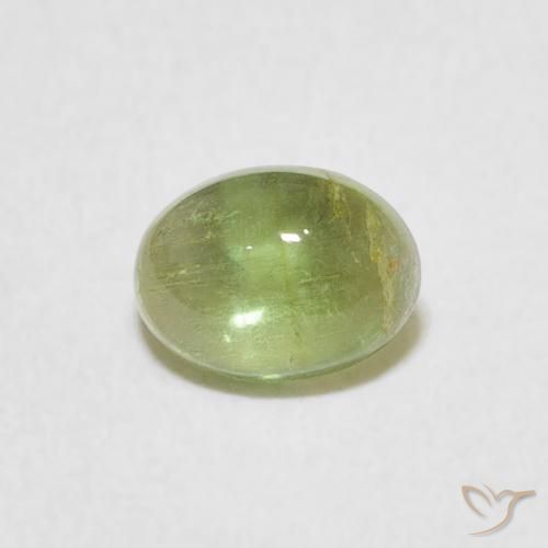 0.76ct 자연스러운 따뜻한 녹색 전기석, 타원형, 투명한