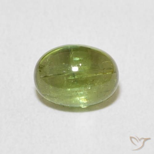 0.92ct 자연스러운 활기찬 녹색 전기석, 타원형, 투명한