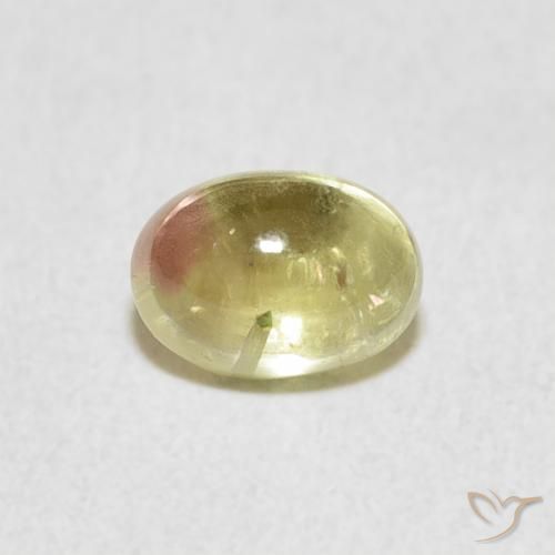0.96ct 자연스러운 바이컬러 전기석, 타원형, 투명한