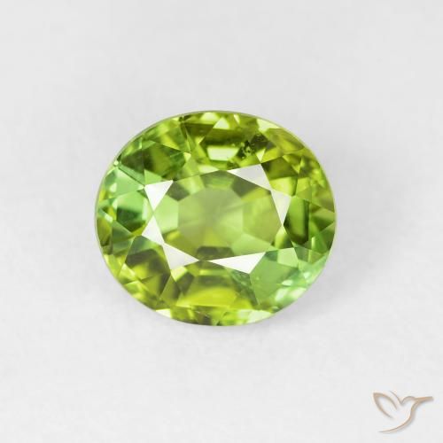 1.65ct 자연스러운 라이트 라이블리 그린 전기석, 타원형, VVS-VS