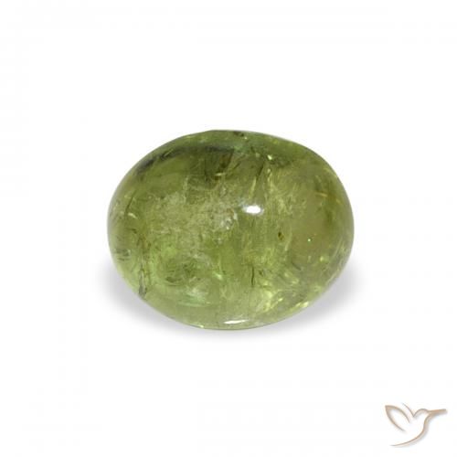 0.79ct 자연스러운 미디엄 그린 전기석, 타원형, 투명한