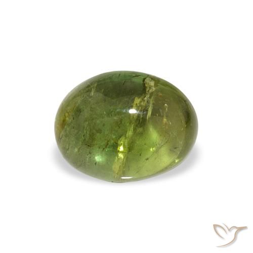 1.45ct 자연스러운 미디엄 그린 전기석, 타원형, 투명한