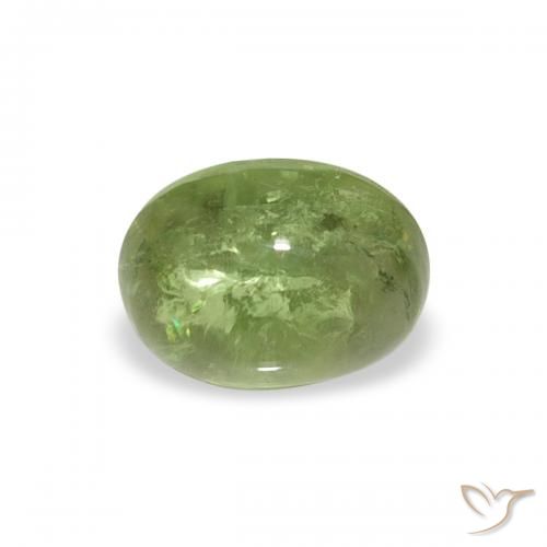 0.79ct 자연스러운 미디엄 그린 전기석, 타원형, 투명한