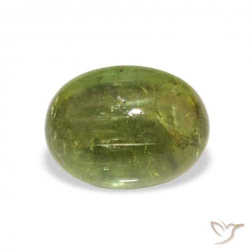 1.89ct 자연스러운 포레스트 그린 전기석, 타원형, 투명한