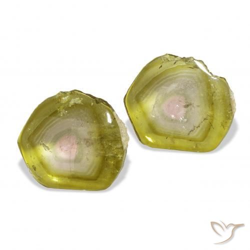 7.05캐럿 천연 수박 전기석 보석, 팬시한, 투명한