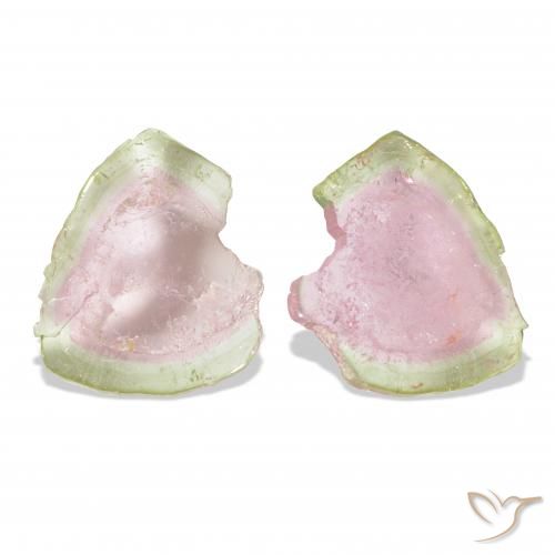 13.27캐럿 천연 바이컬러 전기석 보석, 팬시한, 투명한