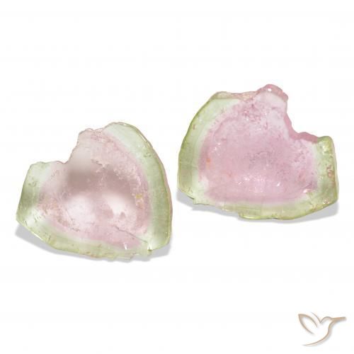 13.27캐럿 천연 바이컬러 전기석 보석, 팬시한, 투명한