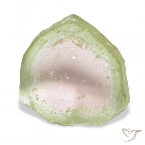 8.09캐럿 천연 바이컬러 전기석, 팬시한, 투명한