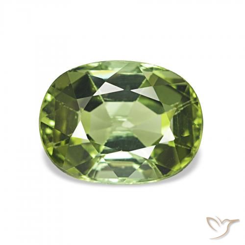 1.65ct 포레스트 그린 전기석, 방석, VS