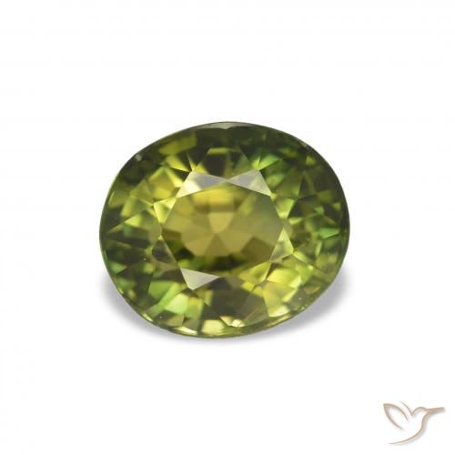 1.58ct Medium Dark-Green 전기석, 타원형, VVS-VS